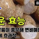 토란대 효능 토란대 독성 이미지