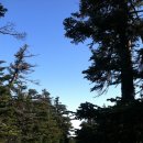 케논 산의 케이블 카(Aerial Tramway) 이미지