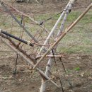 부목농장 이미지