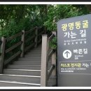 2019.07.20(토)경기도 광명동굴 여행 (구리광산- 문화와 예술이 있는 동굴. 년간 500만명 입장) 이미지