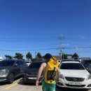 휴호텔 | 3탄]학동흑진주몽돌해변 스노쿨링/거제핫한숙소(동백호텔)후기/백만석게장백반본점/거제 짹짹커피 본점