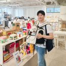 아싸애견용품할일매장 | 강남 애견동반 카페, 놀로스퀘어 탐방기