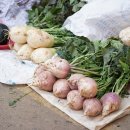 사계절꽃게 이미지