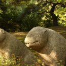 호암가든 이미지