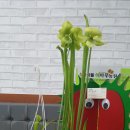 신영란 농장 네이버블로그