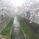 덕산성당 앞 이미지