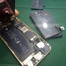 수원-1607 이미지