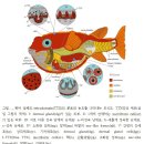 복어 성체의 tetrodotoxin(TTX) 이미지