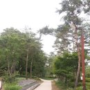 청민 행정사사무소 이미지