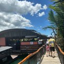 아이시스안경 | 필리핀 보홀 가족여행 추천 코스 (로복강, 나비공원, 안경원숭이 솔직후기)