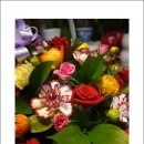 신우꽃집 이미지