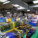 시장횟집 이미지