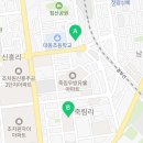 용인대 대동 태권도 이미지