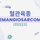 금샘동물병원 이미지