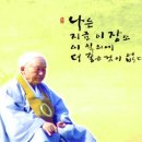 대산불교 이미지