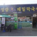 뚱감자
