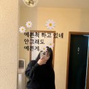 멕시칸치킨 진평점 이미지