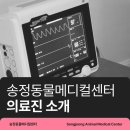 송정동물메디컬센터