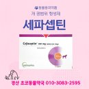 초코약국 이미지