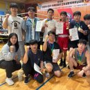 더뉴복싱 이미지