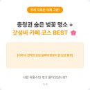 디저트39 아산용화점 | [2026 충청 벚꽃] 사람 안 붐비는 대전·충청권 벚꽃+카페 당일치기 코스 BEST 5 🌸