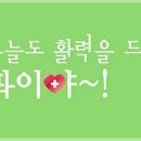 유로진 남성의원 이미지