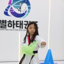 별하태권도 이미지