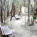 소나무향기펜션 이미지