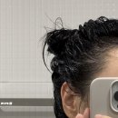 애플스파 이미지