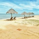 맑은숲예인한의원 이미지