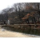 고향민속마을 이미지