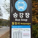 안흥목장 | 단풍 끝물도 아름다운 강원도 평창 오대산 단풍끝물 선재길 단풍구경 트래킹 코스후기 🍁 (선재길~월정사)