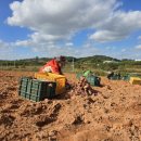 해찬농장 이미지