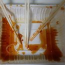 썸타는 분식 이미지