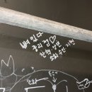 김희용 | 소확행🐢