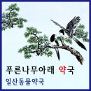 푸른나무약국 이미지