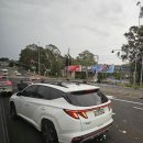 산바라기투어 - 중구 퇴계로49길 2 | 호주 여행 5 (포트스테판 머레이와이너리, 스테이크, 모래 썰매)