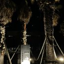 스테이다랑쉬 이미지