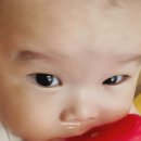 워터119정수기 네이버블로그