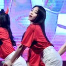 뿜뿜