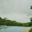 너울숲