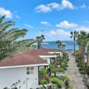 체크 인 제주 이미지