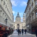 비스트로문 | 헝가리 부다페스트 굴라쉬 맛집 현지인 추천 헝가리쿰 비스트로 솔직한 후기