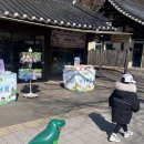 사또민속촌 | 용인 민속촌 아이랑 가볼만한곳 내돈내산 솔직후기