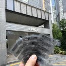 퍼펙트쉴드대구
