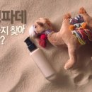 이니스프리대구 - 북구 침산로 138 | 이니스프리대구