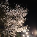 카라반베이캠핑장 이미지