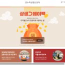 상생페이백 33만원 환급 <b>롯데</b><b>온</b> 사용방법 디지털온누리상품권 사용처