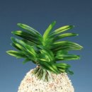 후암농장 이미지