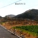 철성중학교 이미지